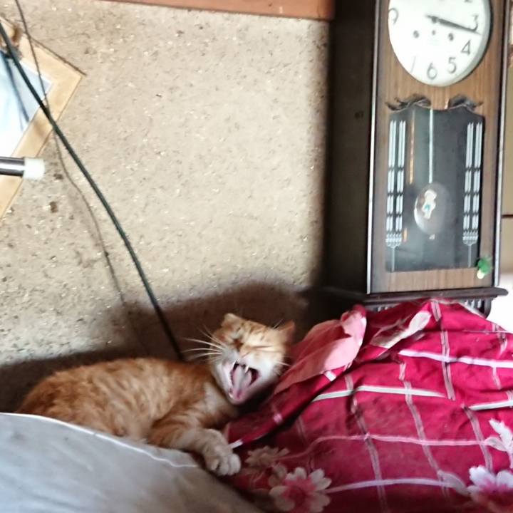 5c9a0231 e699 4914 b6b3 2d61320158b8 1561269661421