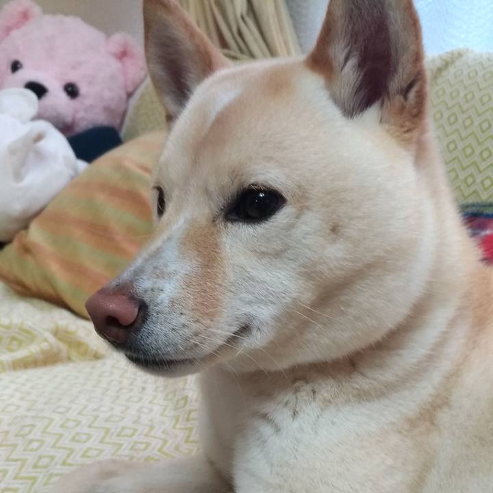 5c9a41ab e589 404f bbe4 299b7a17905c 1551827216369