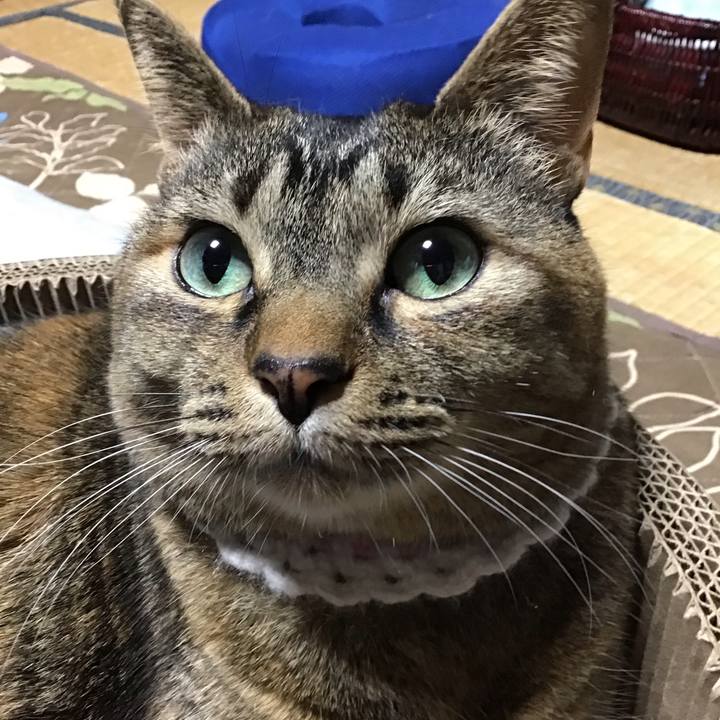 5c9a86ef 23a6 4190 8f6c e0e004110ac1 1743236199313