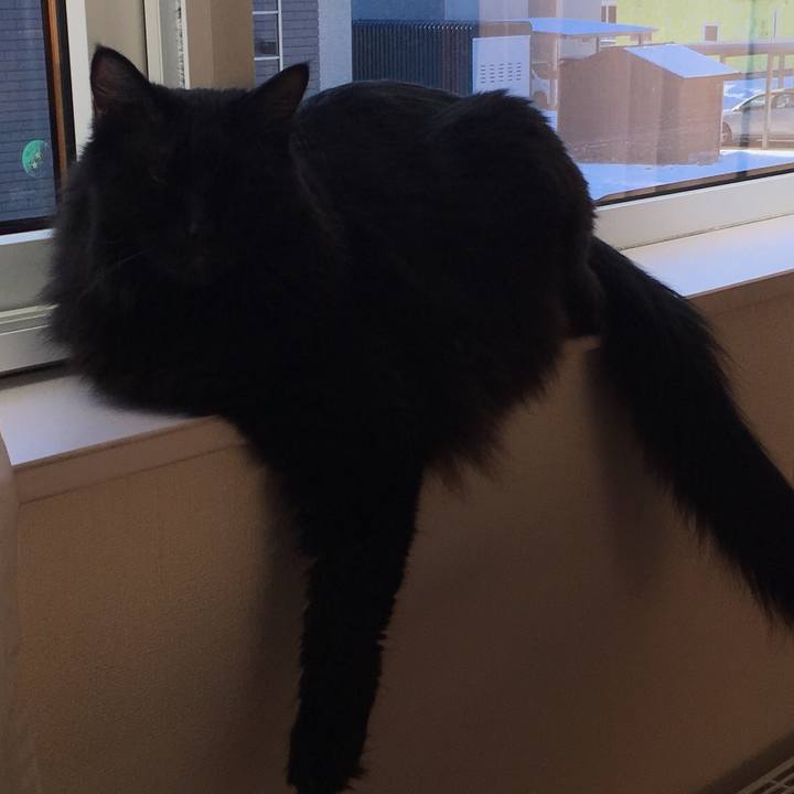 5c9ab27a ce4d 4a31 b7aa ec92d3484dec 1514612584413