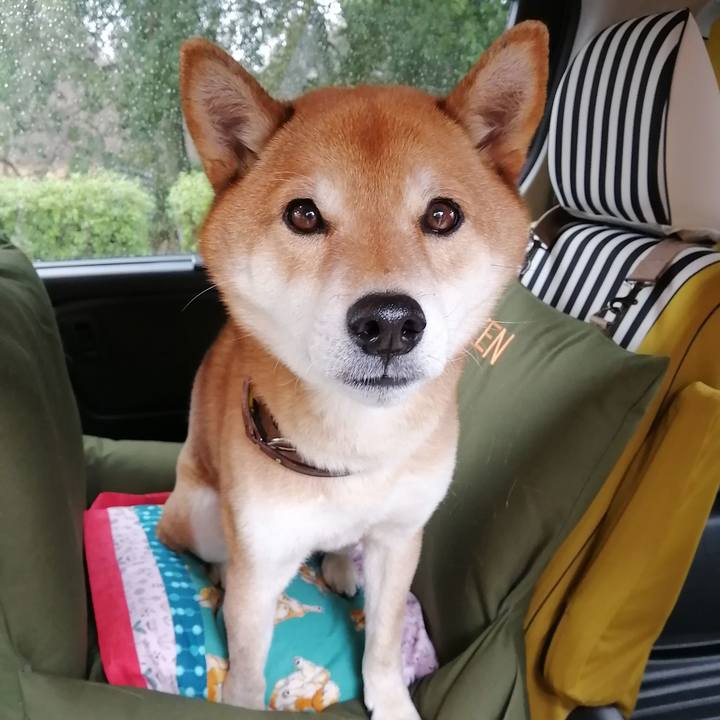 5c9ac958 bc75 471f adb1 592efbbfb7be 1611384221649