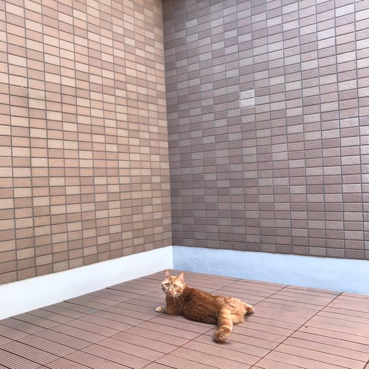 5c9af157 bcb9 4b6a bf6f 18f9cf938439 1526347278218