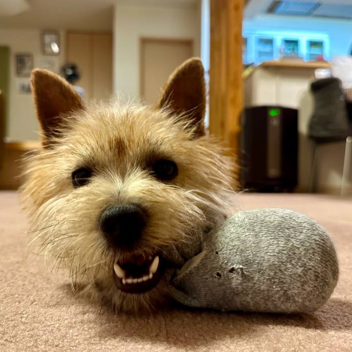 5c9af7b0 2031 419e 954a e41c6f35d1ec 1711892241461