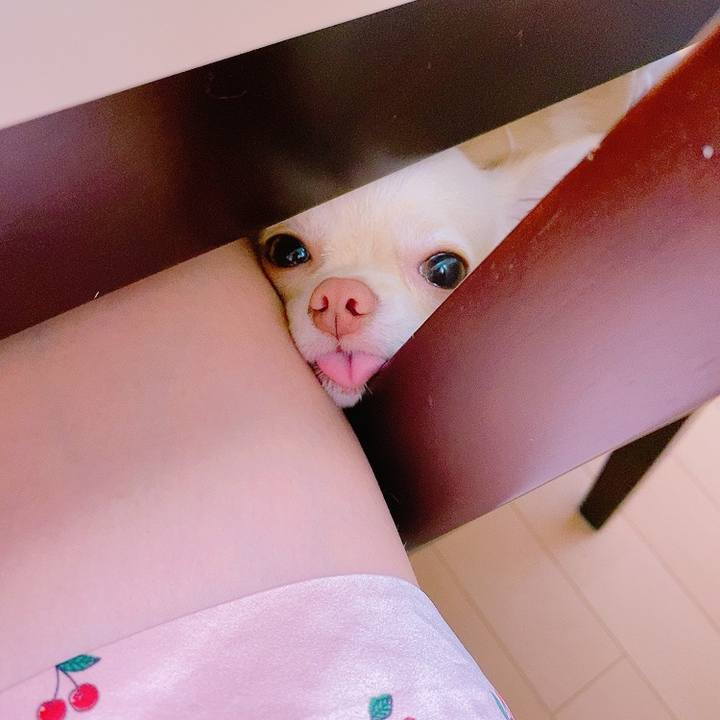 5c9b13e8 7b6f 4d59 b779 98d2b99ef81f 1623909352762