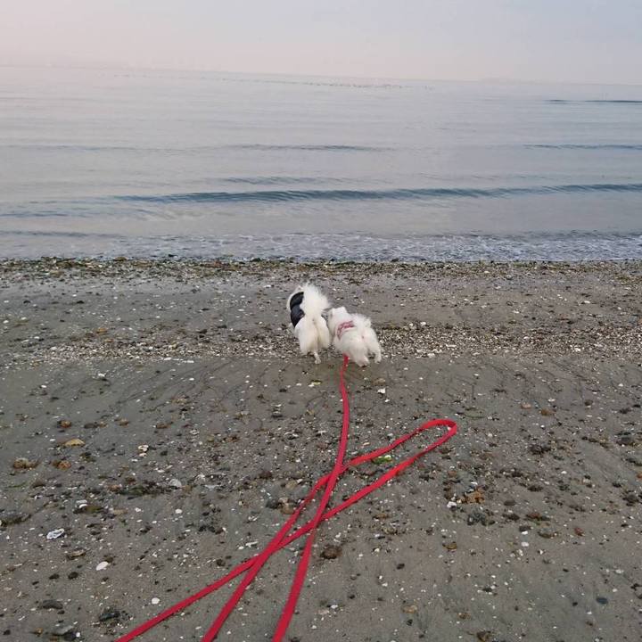 5c9b57ca 1e67 4af7 aee3 bdf0b0221465 1551007334532