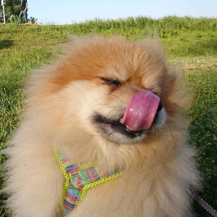 5c9b6ab3 da0c 4826 b0d5 16597c5abbdf 1525609375753