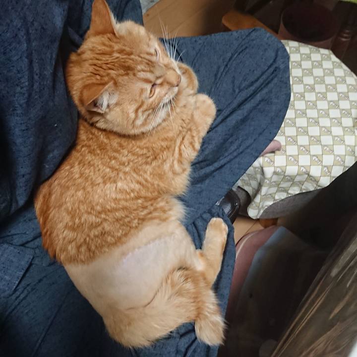 5c9b778e 4908 4bc0 8a2f f018bf54e8dd 1654817466030