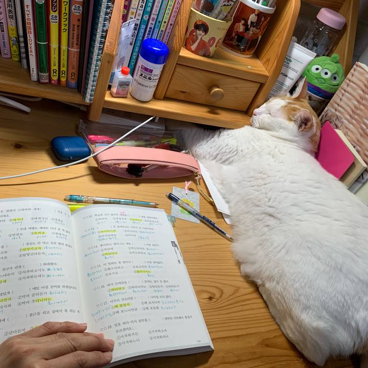 5c9babd5 31e3 4d85 af04 46373dca3475 1633900569847