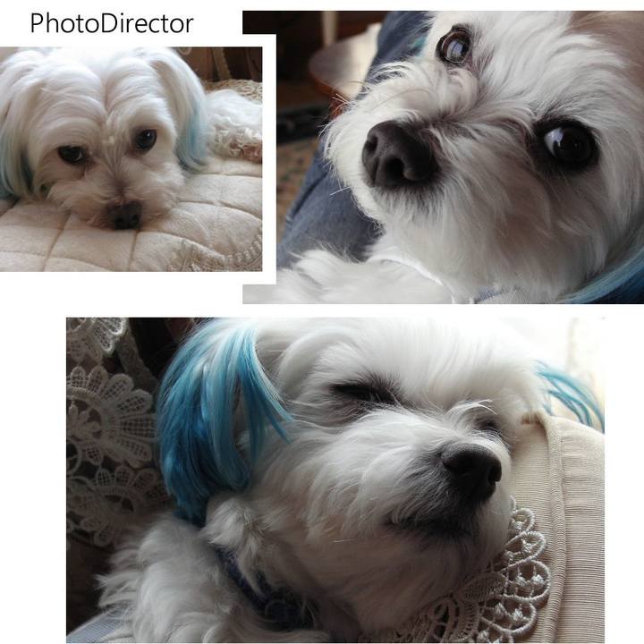 5c9bac7a 2769 40d6 b484 51529cc2a33d 1527569182136