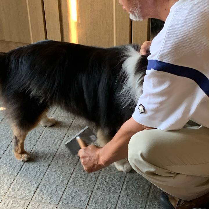 5c9bb512 640b 4262 bac6 03543beabe3f 1597961182820