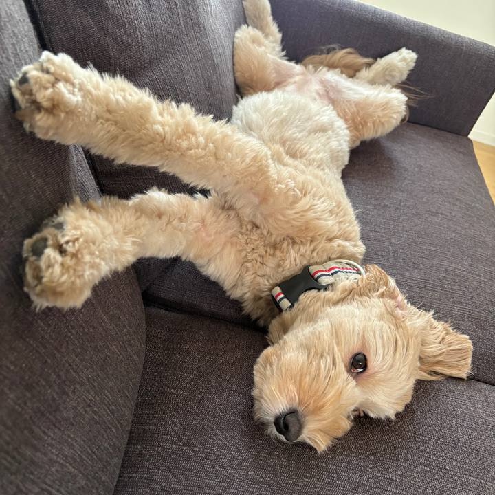 5c9bbc1e c8d5 4e3c 907c 7ce0f39e909a 1756294182850