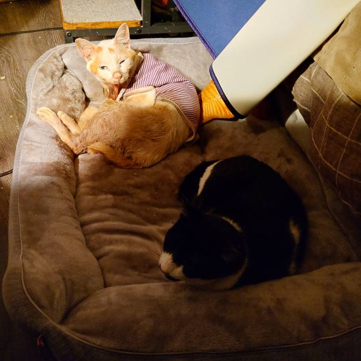 5c9bed87 2969 48ee 9fee d0911e2a53e5 1774099748138