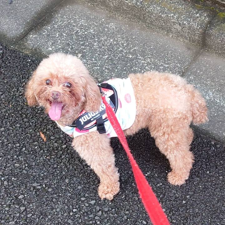 5c9bf779 6f70 49fd 8099 c6061dcea4df 1720945658816