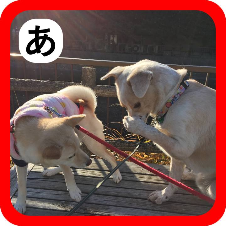 5c9c13b8 ded6 413d aa80 c7282b0a9312 1514853340922