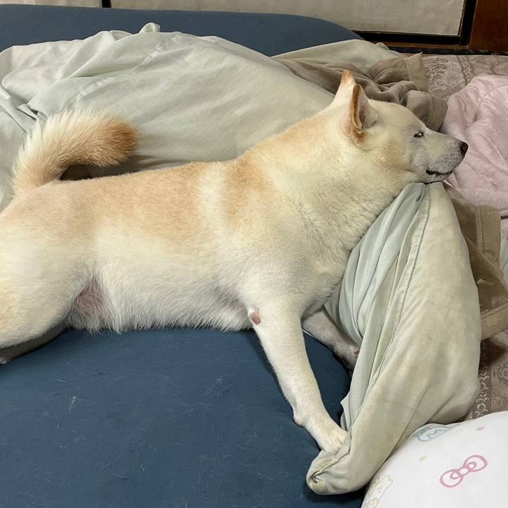 5c9c2180 baea 40d1 830a 6b1dcb264444 1696396186482