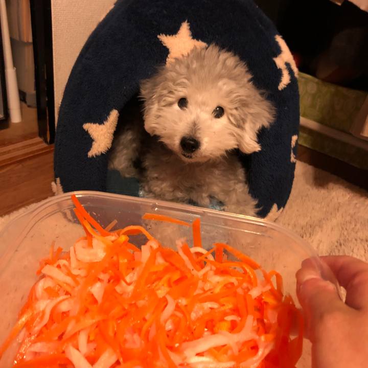 5c9c4778 786a 41e7 9cc3 846e1690058c 1609402436289