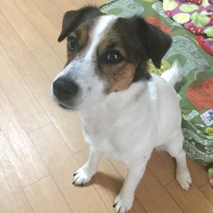 5c9c6aaa 206e 4398 a159 afba7543e3df 1528960998295