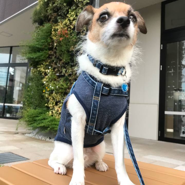 5c9ca053 721c 4fd2 b788 aa5885284178 1536709035390