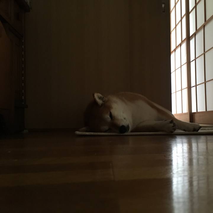 5c9ce65b b55a 46b3 aa77 70572f6dcf69 1566453237842