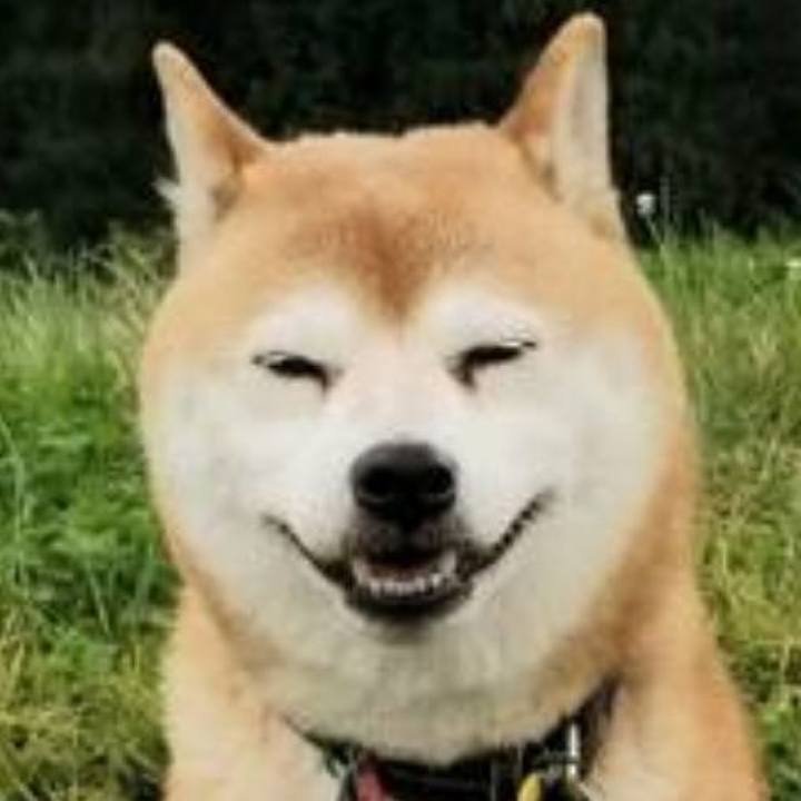 5c9cf733 2bda 4f34 a800 9aa4b7886503 1603370042854