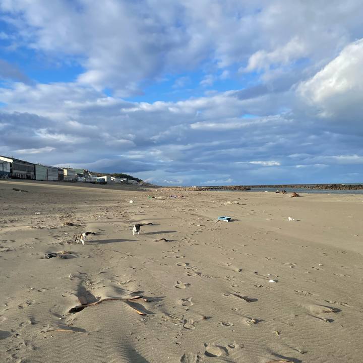 5c9cf7ad 0006 4b0d a19e 2022bf825269 1772586600113