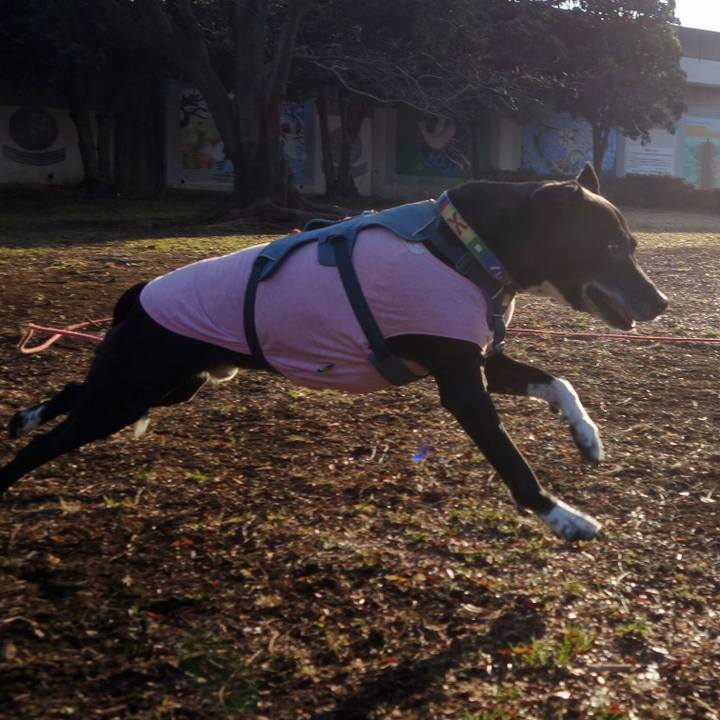 5c9d3dc1 88a8 4000 937c ca39b07a3570 1706661705010