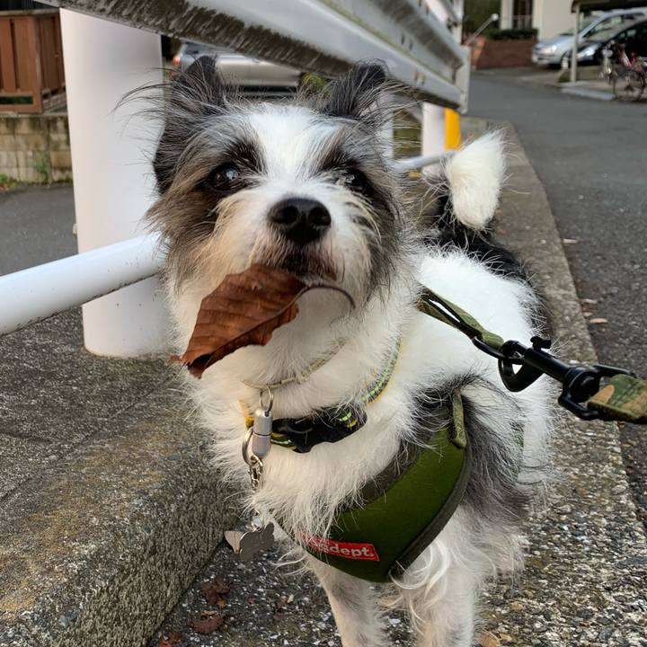 5c9d4fc4 d9b8 445d a27e 71b81c4cb28b 1572246187429