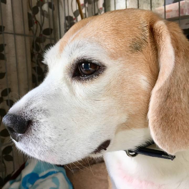 5c9d56ec 7fd6 4f10 813e 571f7d12111e 1539235602684