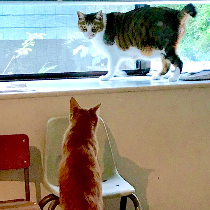 5c9d5b7a 84c5 4036 abbf dbf6f27f0bef 1562721708956