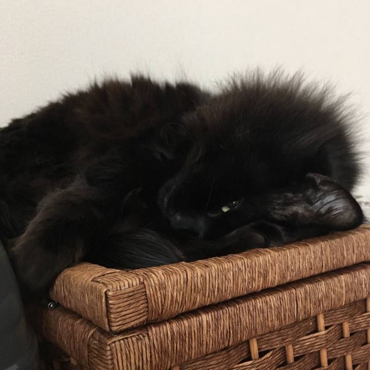 5c9d6171 5a86 475b a0fe 029a3524b4bf 1548671625826