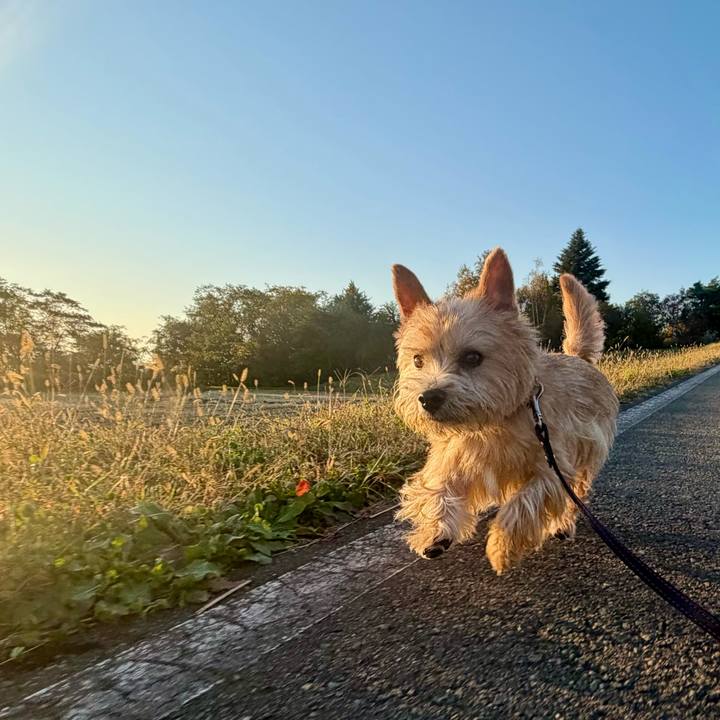 5c9d6727 6de8 46eb acf8 4b3bcbdcd150 1761400187991