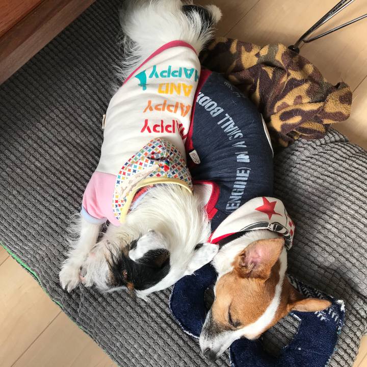 5c9dfb2b f361 409d 880a 2d828b0879fb 1510889746376