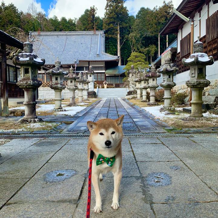 5c9e096f f1cf 40c8 a8a9 663244566650 1671445503006