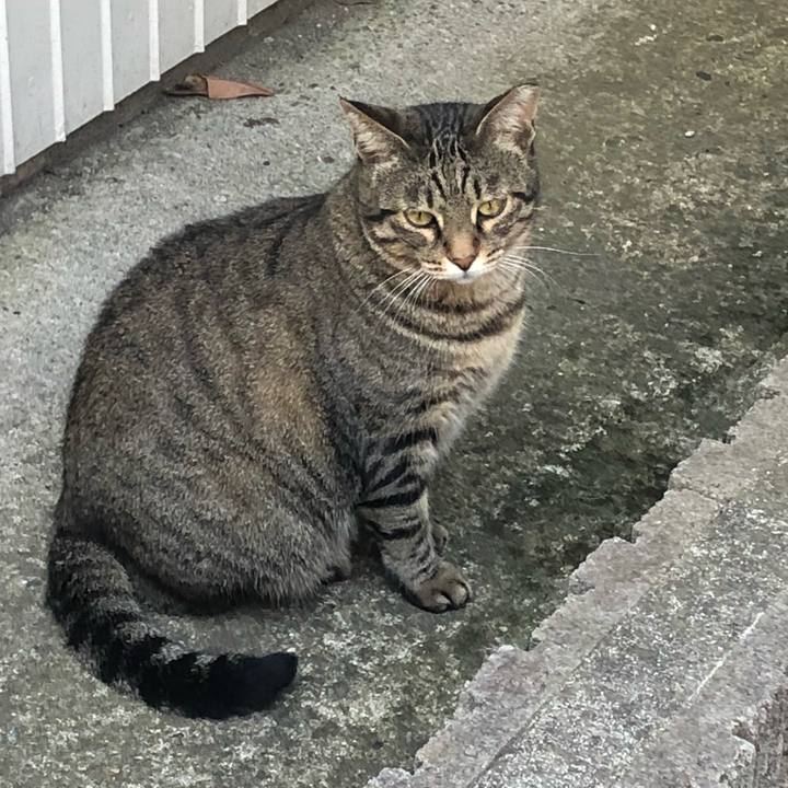 5c9e4a12 b9d7 45d0 af0c ae27cca7adfe 1534673192633