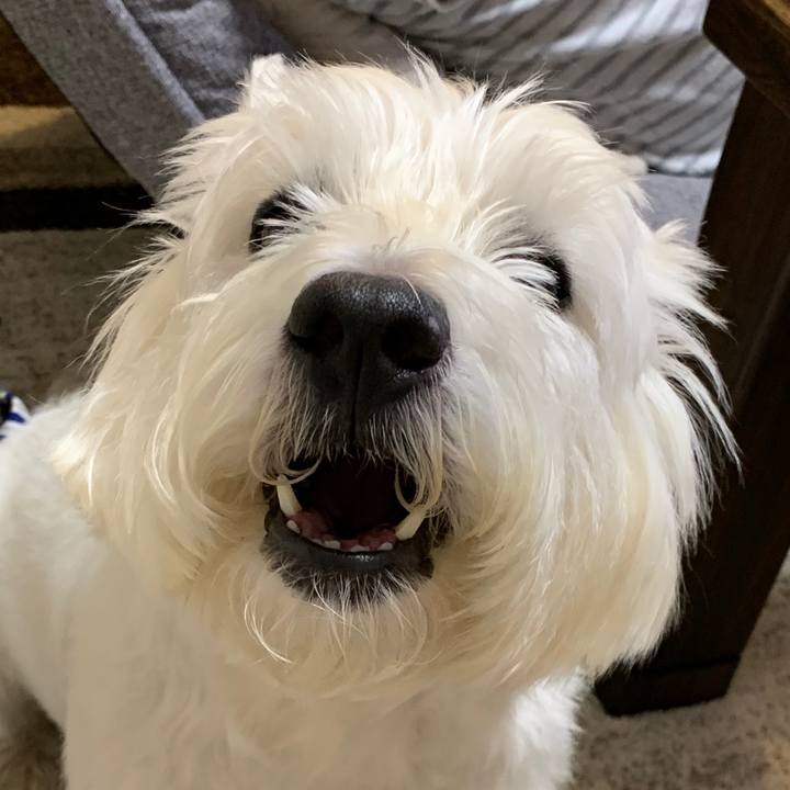 5c9e506f 8de3 475c a0e9 adf288d0a290 1572092930161