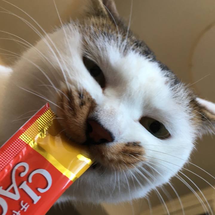 5c9e6229 a1f5 4e76 91f8 02648db69feb 1517038188118