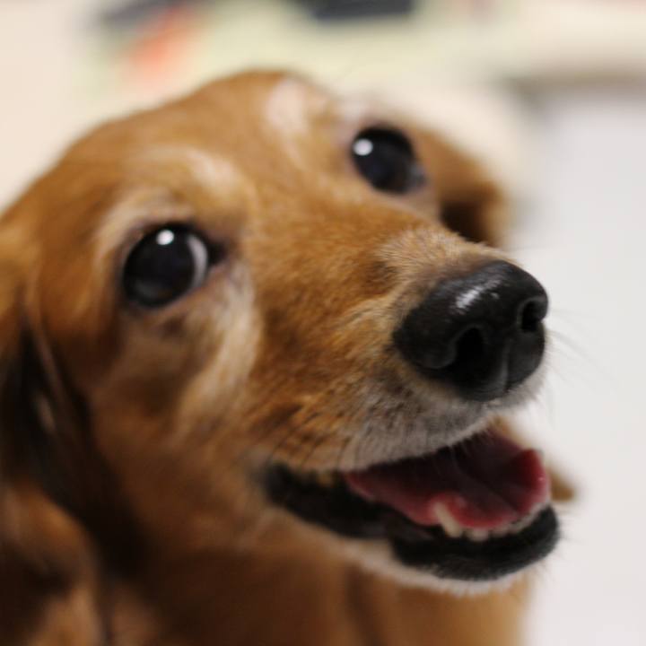 5c9e78d7 9987 4b93 94bd 87308c3955ce 1669716000908