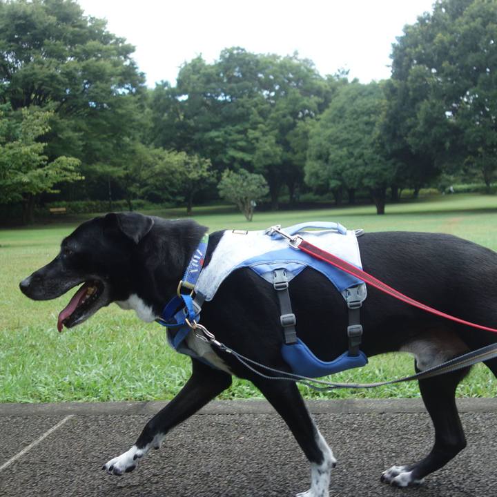 5c9e9172 b0f9 487e b1f8 500016ac0e5a 1691628641736