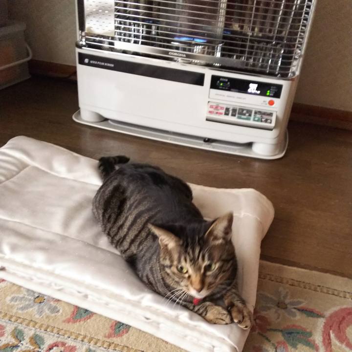 5c9e984d 0105 4986 ba8e 7484c7959f70 1526714877577