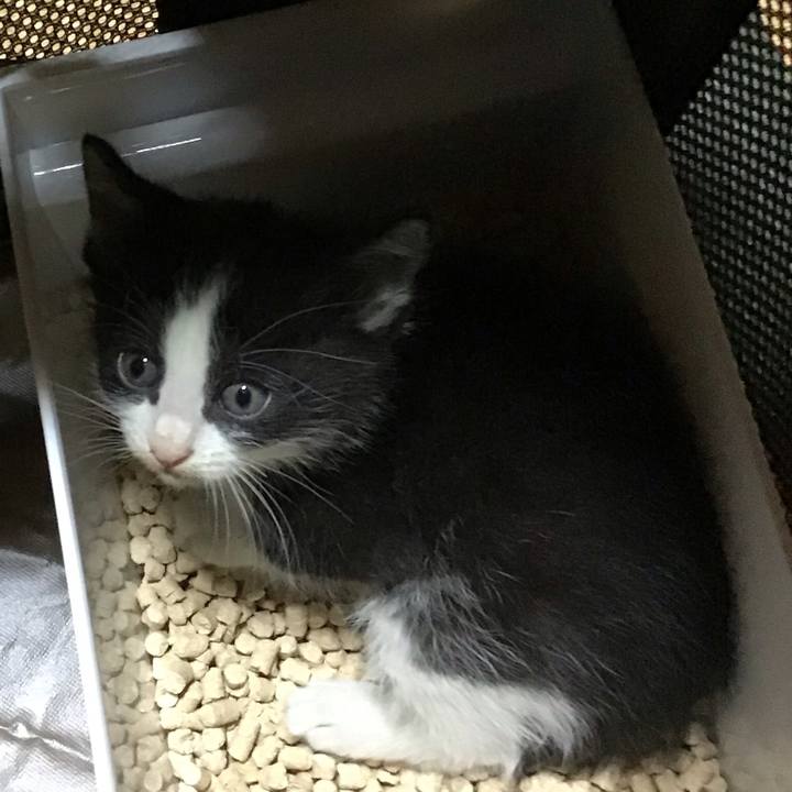 5c9ecb21 456b 4137 927f 542ea20d1266 1622332089158