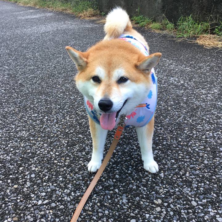 5c9ecc96 084e 417b 949a f67604acee04 1570156237054