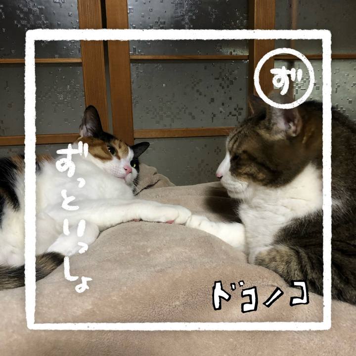 5c9f28f6 05af 41fb aaa2 b83636c412ce 1685959650721