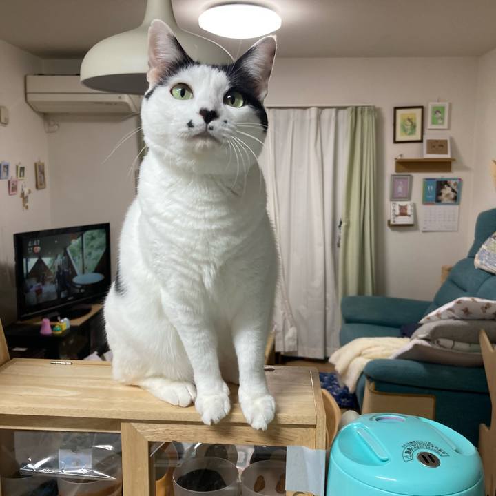 5c9f4415 c702 42ec bae3 c89160def3fa 1762544930789