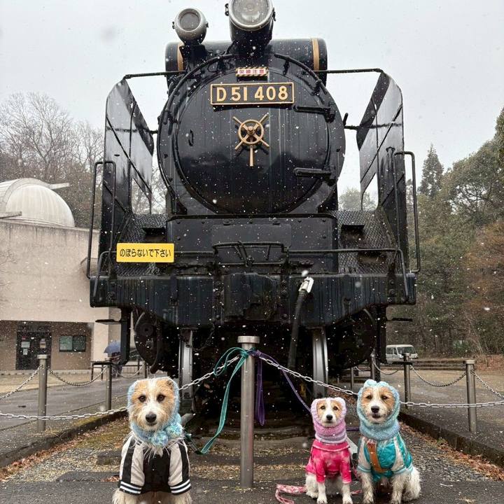 5c9f661b 7e6f 4e0f a3ac 9286c2717147 1770458172822