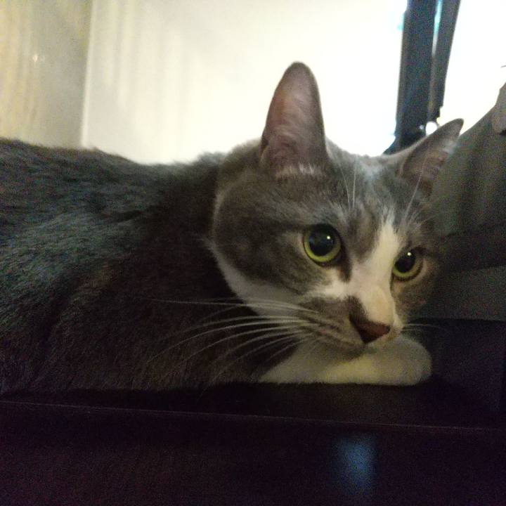 5c9f665e d7d8 47ac 9ee0 b1e73fc09932 1649925062636