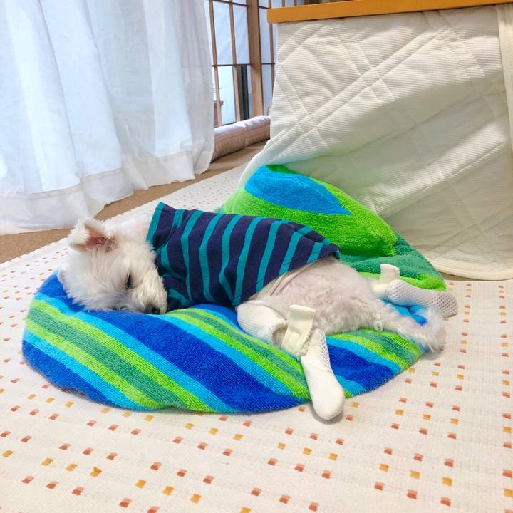 5c9f76cb 362a 4eb5 a939 c0d729ac5677 1560125966517