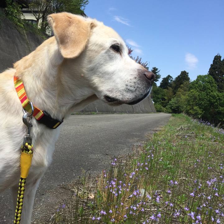 5c9f7c7f 97d7 42fe 9415 a81647365115 1547299151885