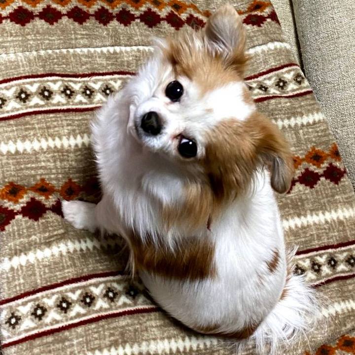 5c9f80fd abd7 4ac5 9320 79577a9ec08d 1580911216405