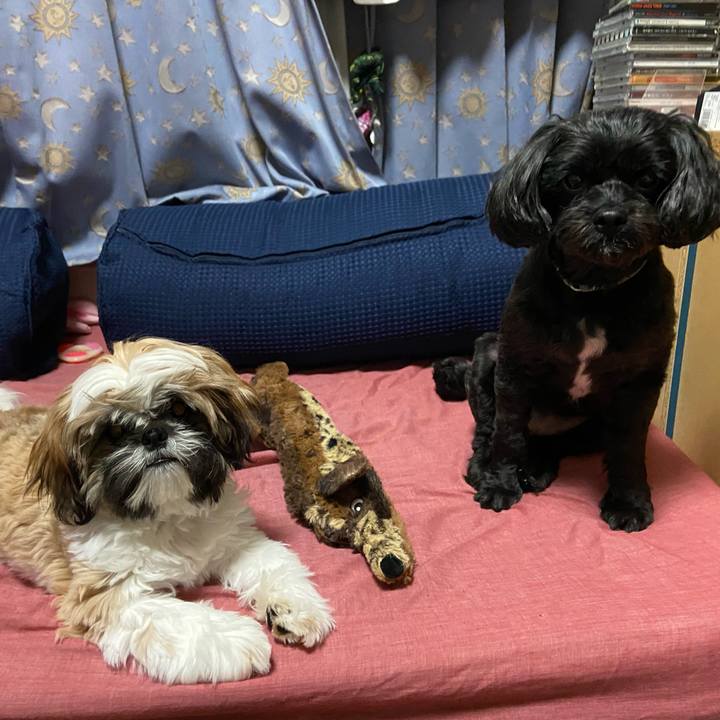 5c9f98eb d832 40bc 9da4 2e6dbf58595c 1633778225908