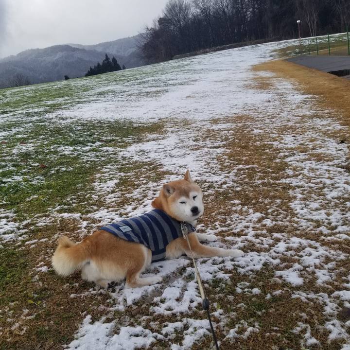 5c9fc4d1 4400 4fd2 82e7 bfa3361d730b 1703132791665